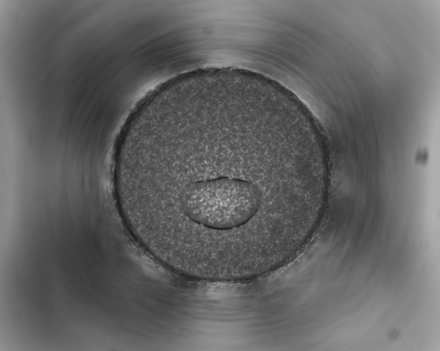 X0000102350832200808151748