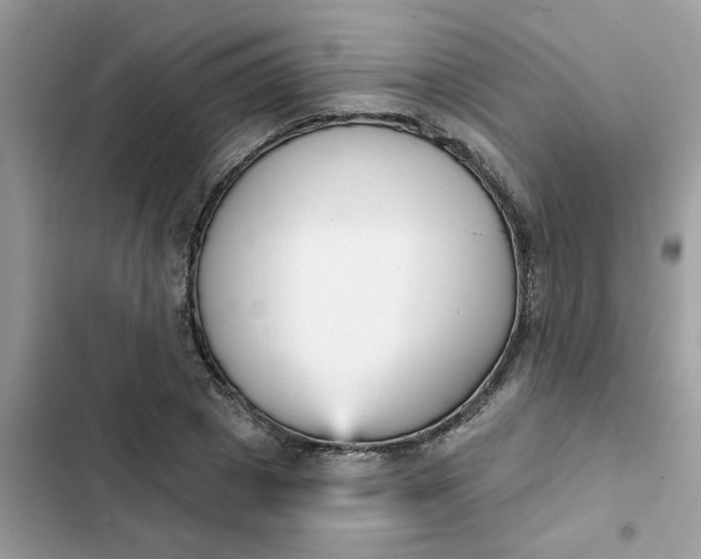 X0000102350833200808151748