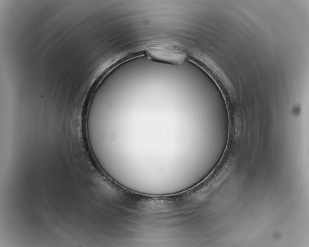 X0000102350834200808151749