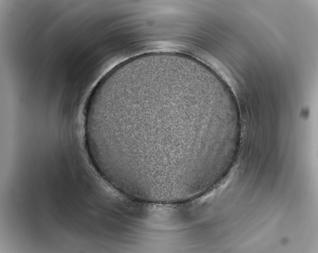 X0000102350835200808151749