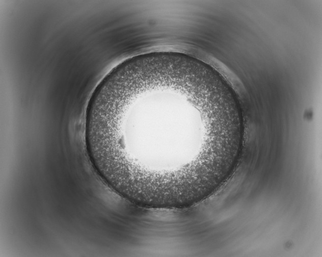 X0000102350836200808151749