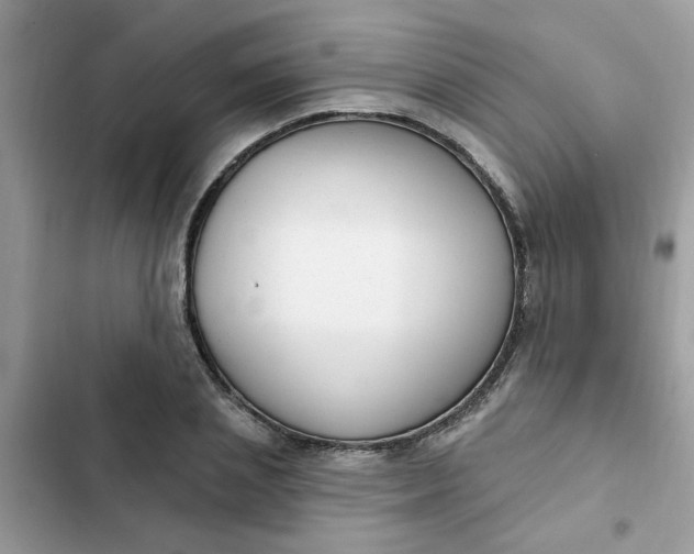 X0000102350837200808151749