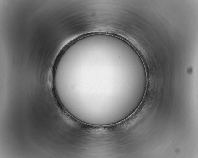 X0000102350838200808151749