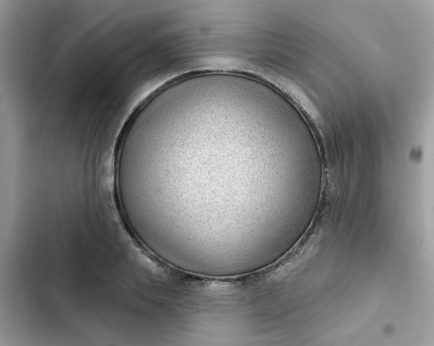 X0000102350839200808151749