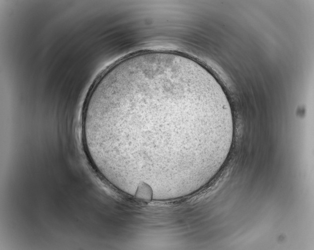 X0000102350840200808151749