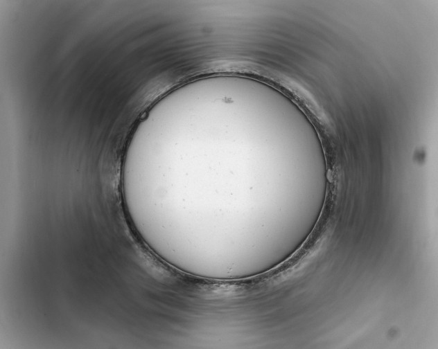 X0000102350841200808151749