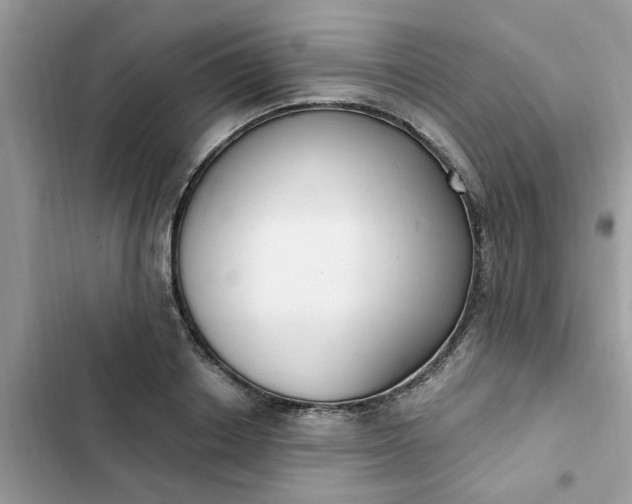 X0000102350842200808151749