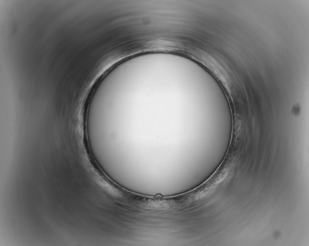 X0000102350843200808151749