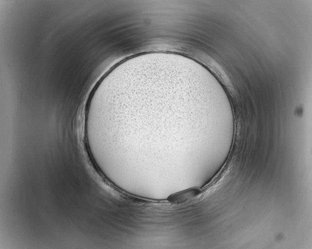 X0000102350844200808151749