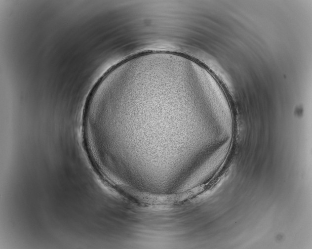 X0000102350845200808151749