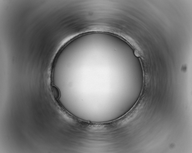 X0000102350846200808151749