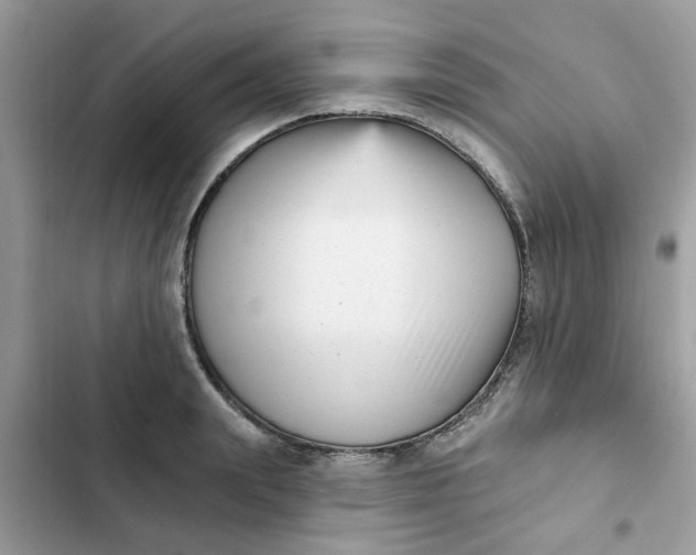 X0000102350847200808151749