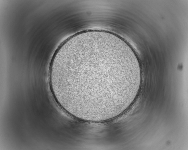 X0000102350848200808151749