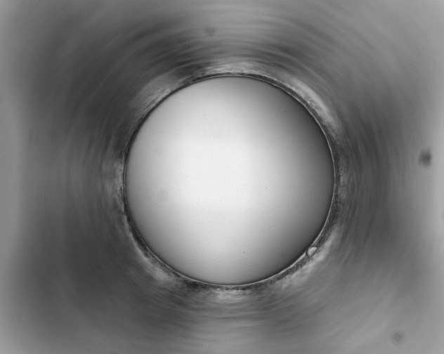 X0000102350849200808151749