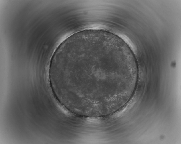 X0000102350850200808151749