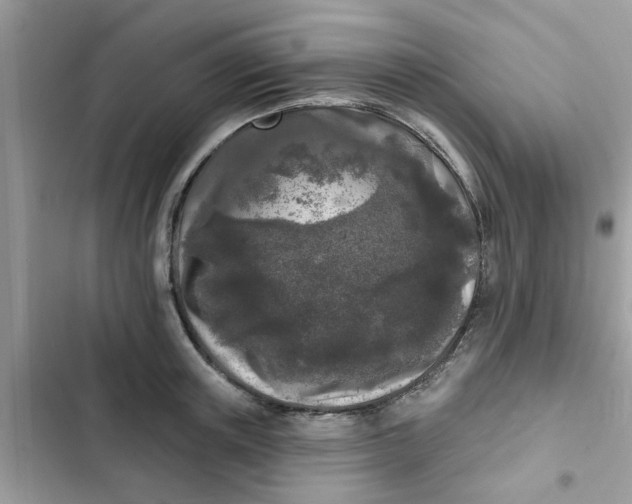 X0000102350851200808151749