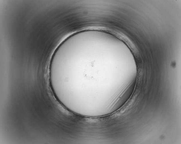 X0000102350852200808151749