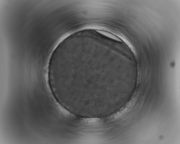 X0000102350853200808151749