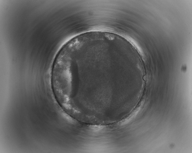 X0000102350854200808151749