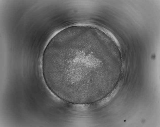 X0000102350855200808151749