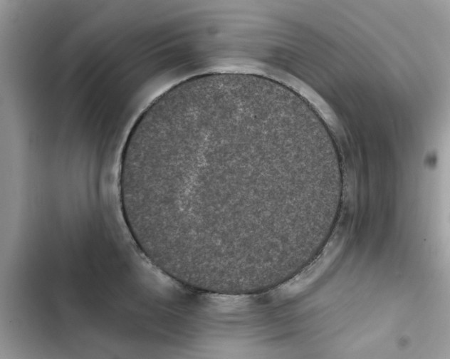 X0000102350856200808151749