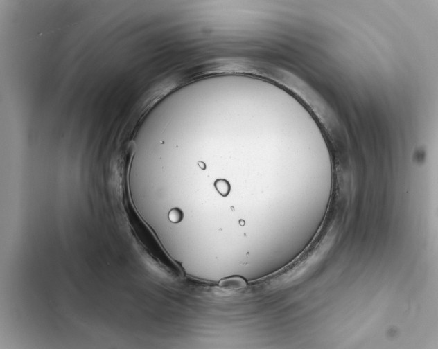 X0000102350857200808151749