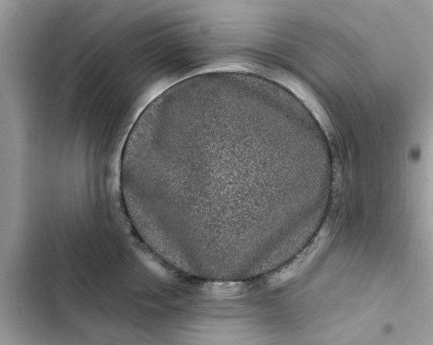 X0000102350858200808151749