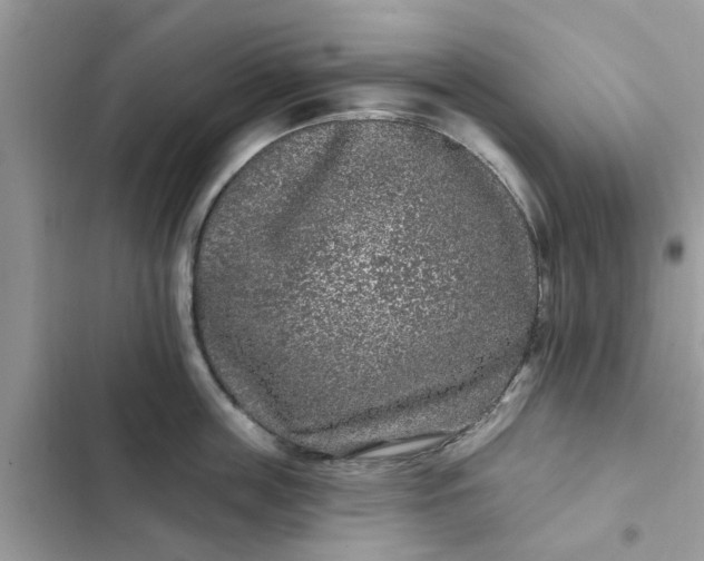 X0000102350859200808151749