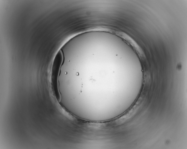 X0000102350860200808151749