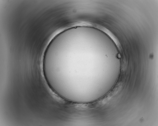 X0000102350861200808151749