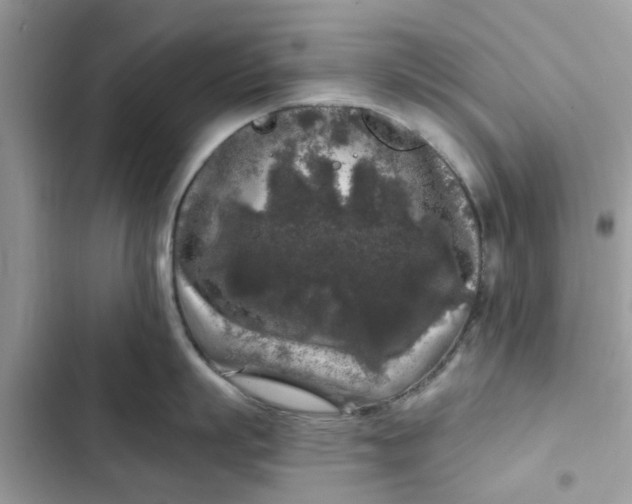 X0000102350863200808151749