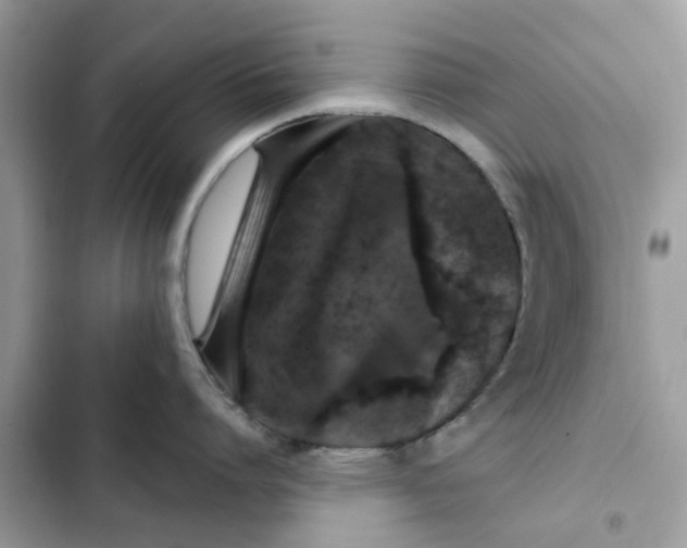 X0000102350864200808151749