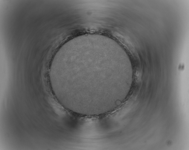 X0000102350865200808151748