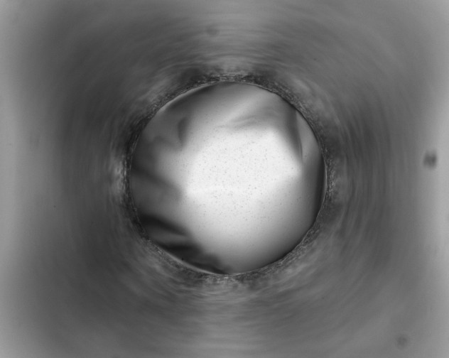 X0000102350866200808151748