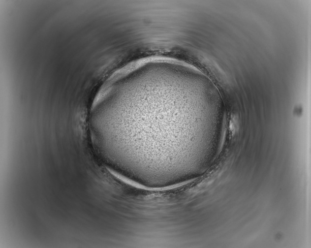 X0000102350867200808151748