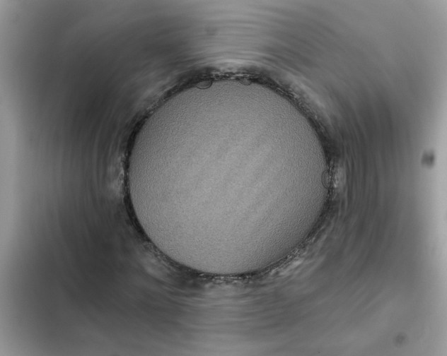 X0000102350868200808151748