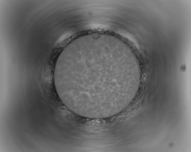 X0000102350869200808151748