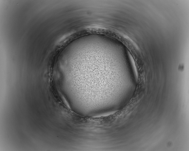 X0000102350870200808151748