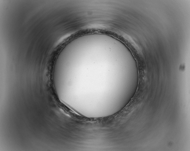 X0000102350872200808151748