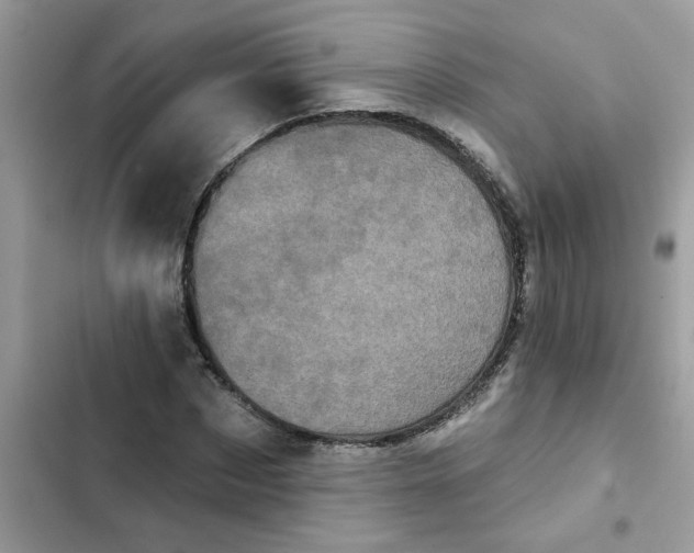 X0000102350873200808151748