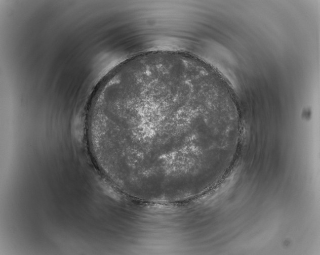 X0000102350874200808151748