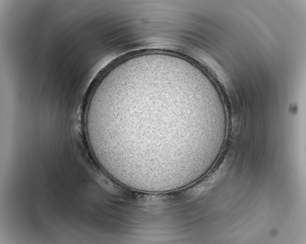 X0000102350875200808151748