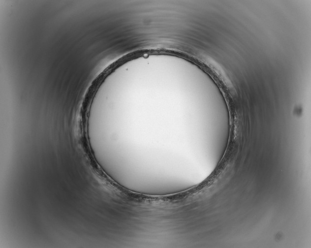 X0000102350876200808151748