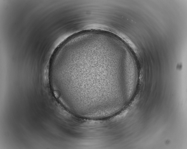 X0000102350877200808151748