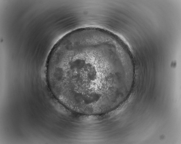 X0000102350879200808151748