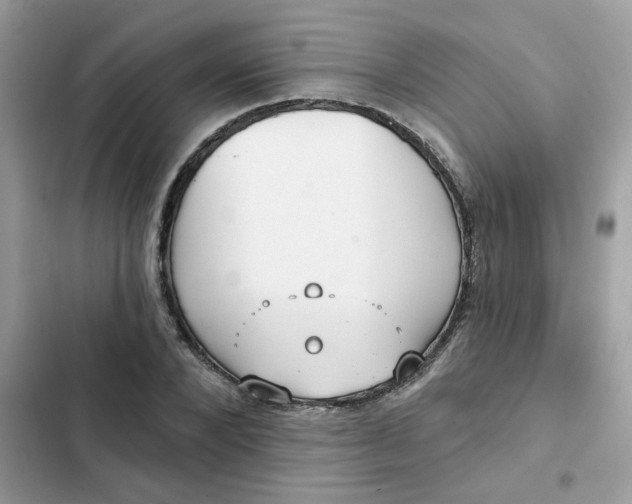 X0000102350880200808151748