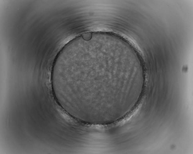 X0000102350881200808151748