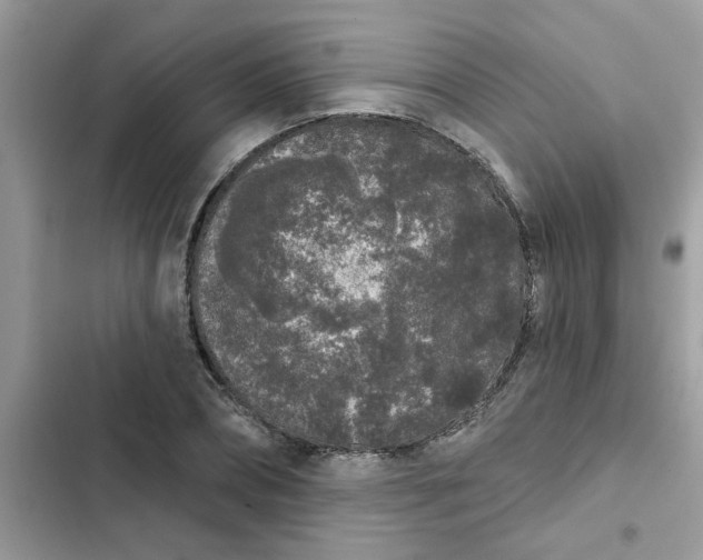 X0000102350882200808151748