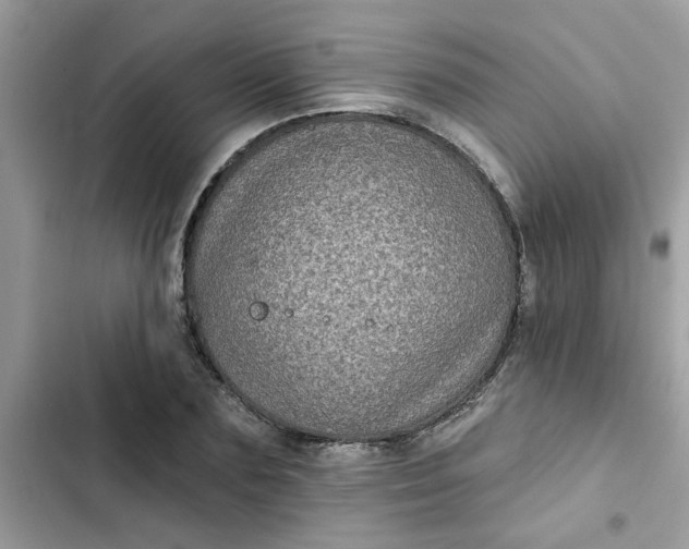 X0000102350883200808151748