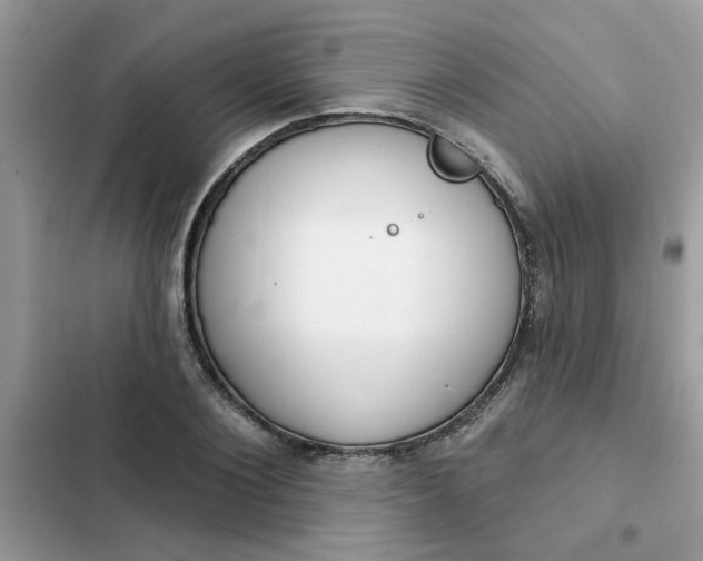 X0000102350884200808151748